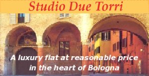 luxury flat for rental - budget accomodation in Italy 